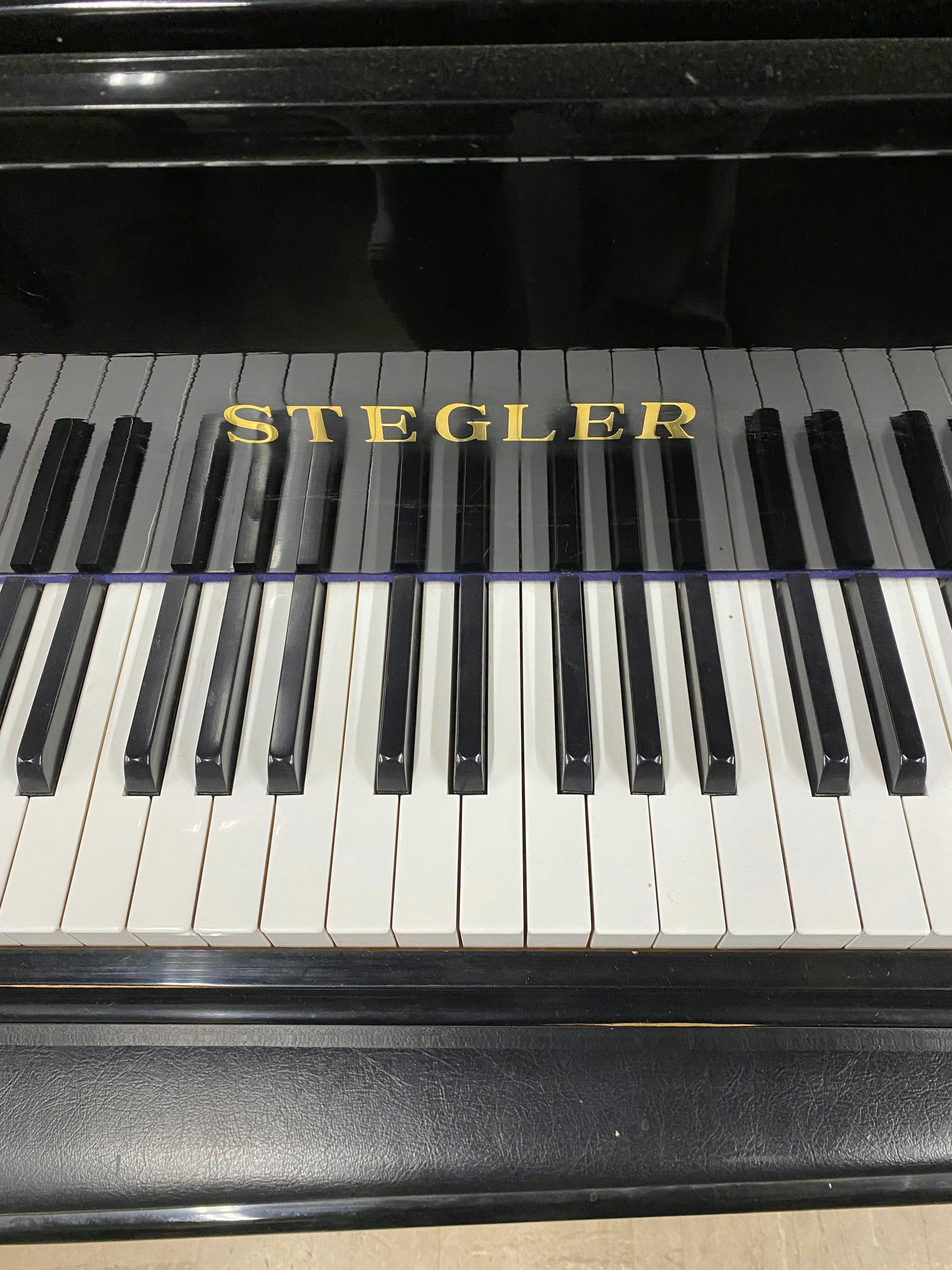 Stegler Grand Piano - PhotoNov132023_50958PM