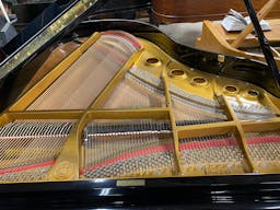 Wurlitzer G-461 Grand Piano - PhotoNov132023_54553PM
